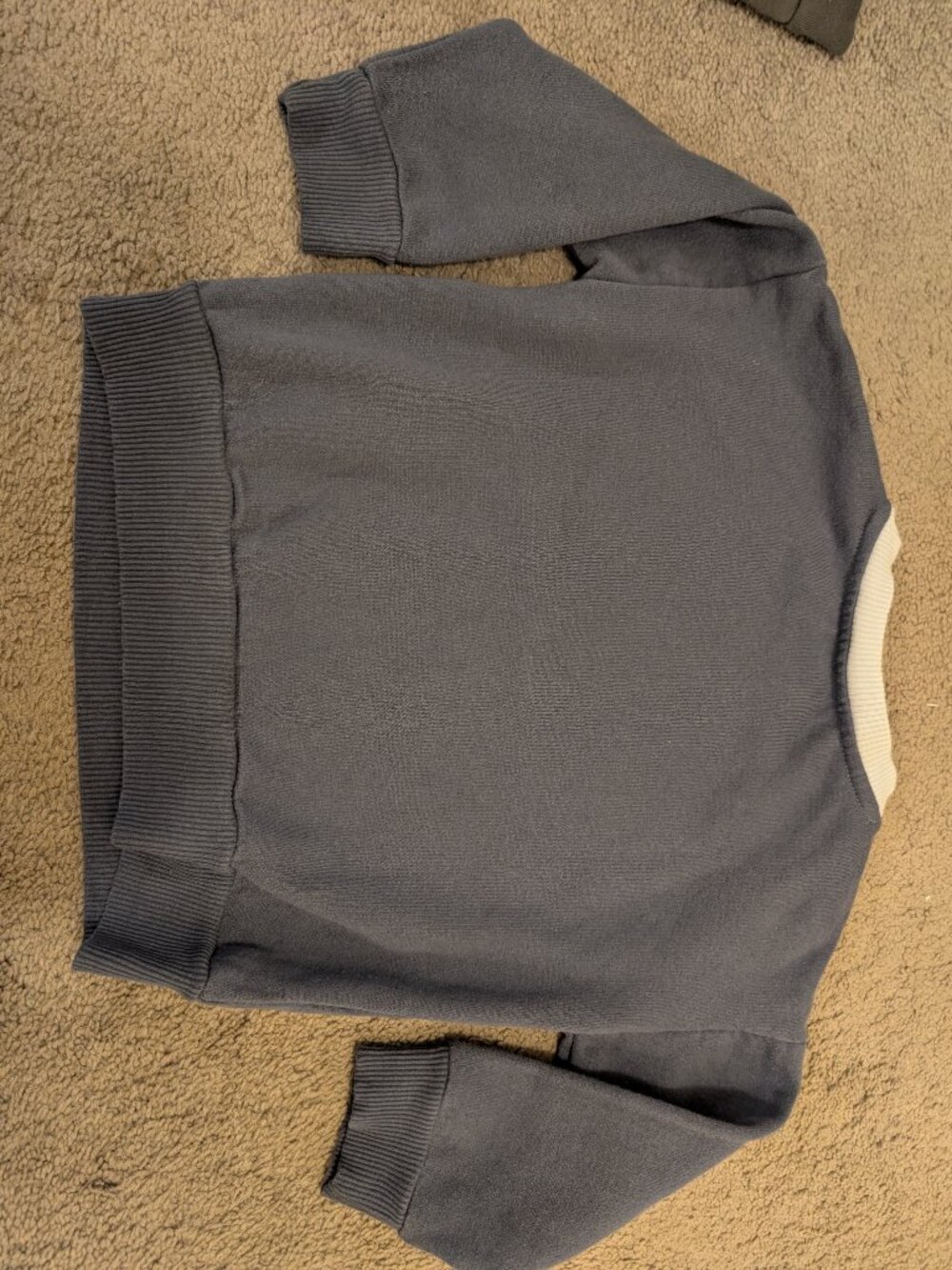 Bluey Sweatshirt - Picture 7 of 7